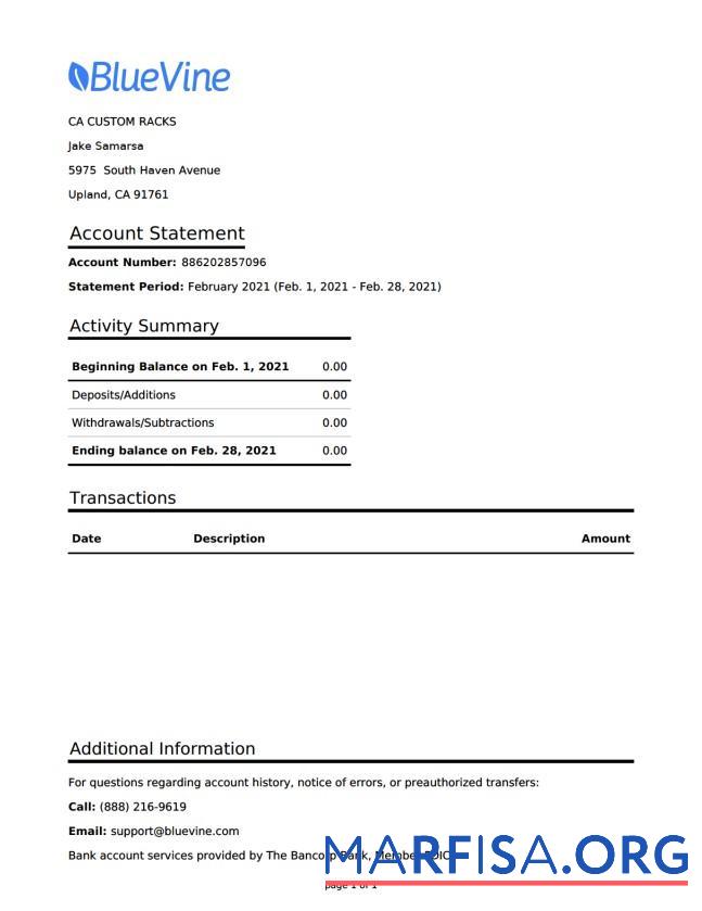 Blank USA California Bluevine bank statement word download for verification